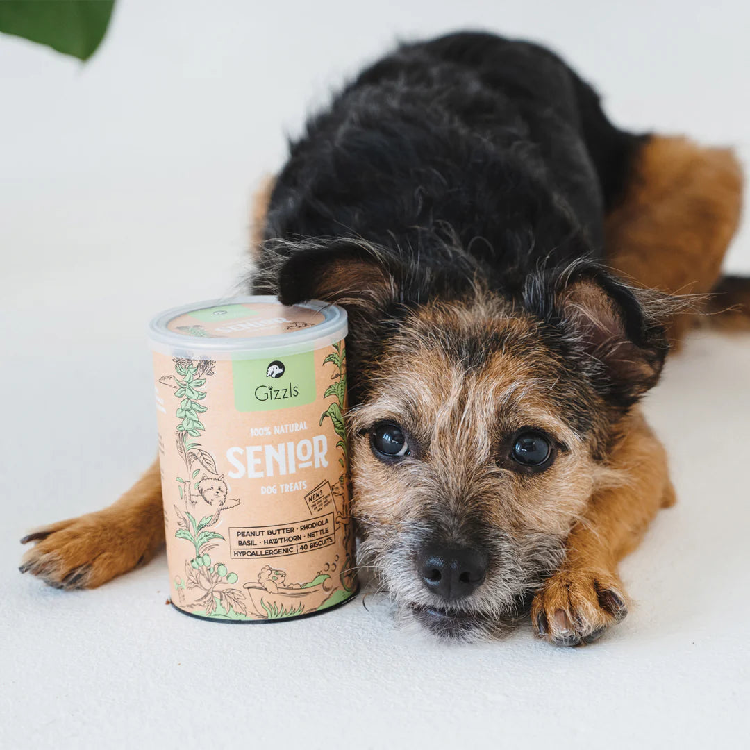 英國GIZZLS 100%天然SENIOR 熟齡犬活力保健餅乾(40粒)