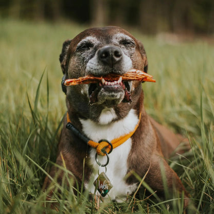 【預購團】美國Wild n Fresh 脫水阿根廷紅蝦 3oz （貓狗可食）