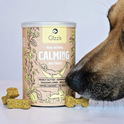 英國 GIZZLS 100％天然CLAMING抗焦慮舒壓保健餅乾(40粒)