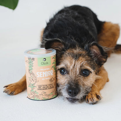 英國GIZZLS 100％天然SENIOR 熟齡犬活力保健餅乾(40粒）